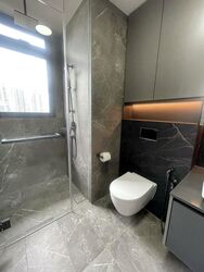 Irwell Hill Residences (D9), Apartment #453387451